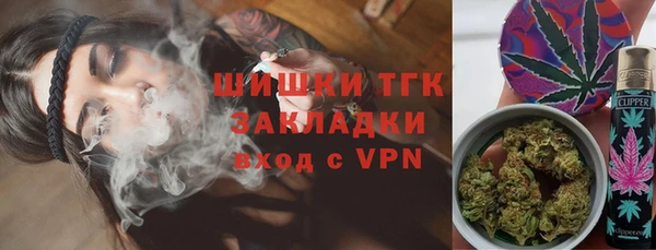хмурый Алзамай