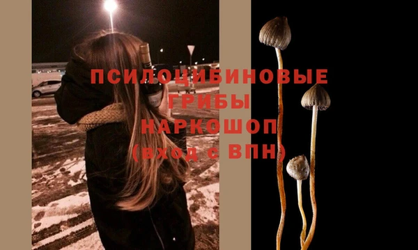 стаф Алексеевка