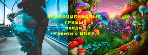 хмурый Алзамай