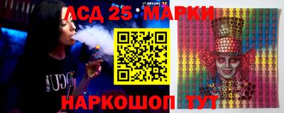 гидропоника Краснознаменск