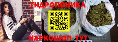 гидропоника Краснознаменск