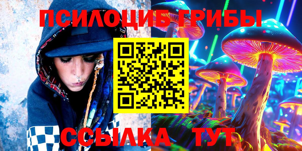Галлюциногенные грибы Psilocybine cubensis Красноуфимск